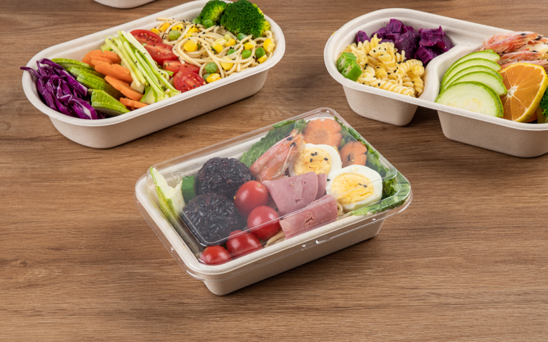 bagasse-product-71---warmpack