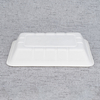 Bagasse Fresh Food Tray T7 – Warmpack