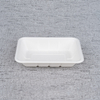 Bagasse Fresh Food Tray T1 – Warmpack