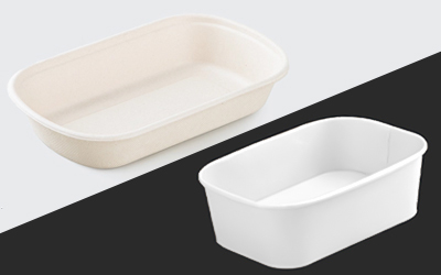 Bagasse vs Paper: Why Pay More?