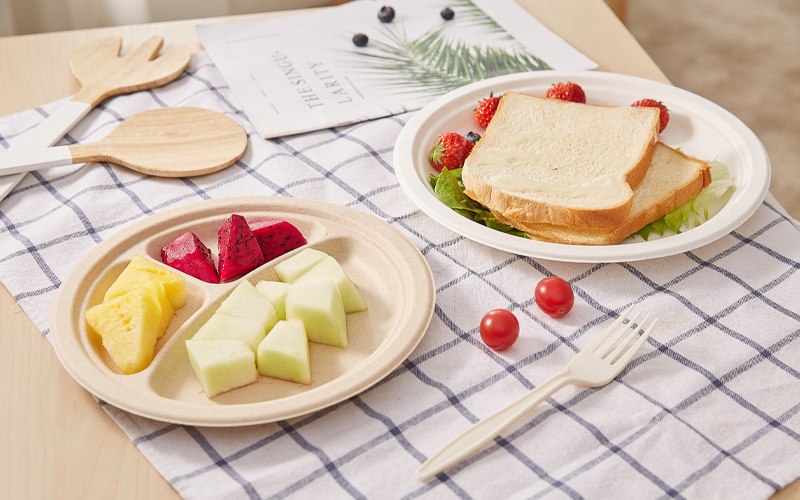 Bagasse Plate For Party - Warmpack.jpg