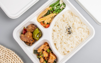 What is the best use of bagasse?