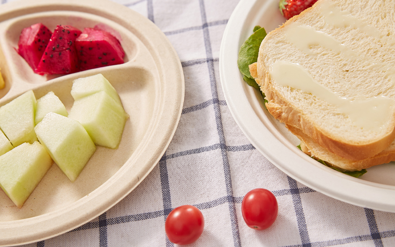 bagasse-plate-5---Warmpack