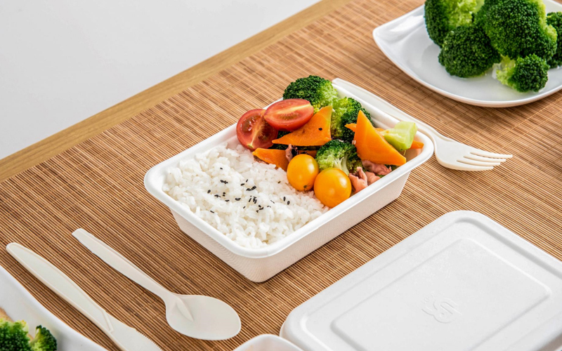 bagasse-product-64---warmpack