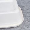 900ml Bagasse square bowl - Warmpack