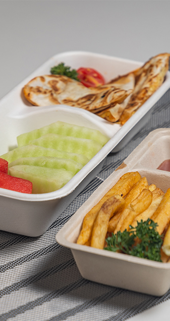 Bagasse oval lunch Box