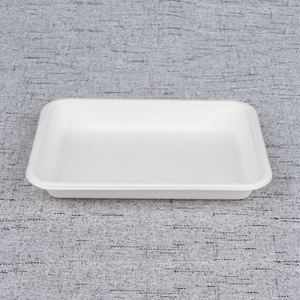 Bagasse Fresh Food Tray T024 – Warmpack