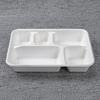 bagasse 5 div container Y-5DGF-L - Warmpack