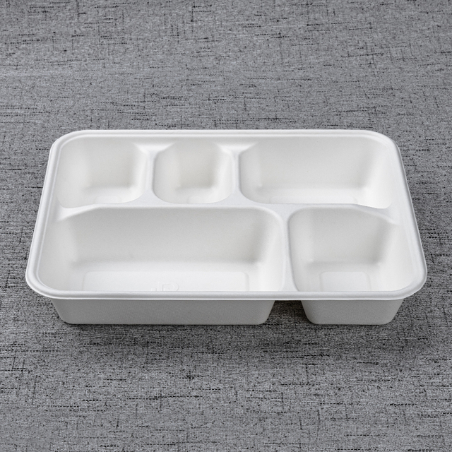 bagasse 5 div container Y-5DGF-L - Warmpack