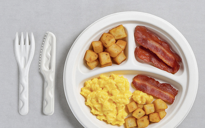 Bagasse Plate Sizes & Uses Guide