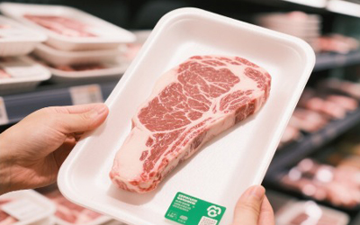 Top Bagasse Trays Manufacturers 2025