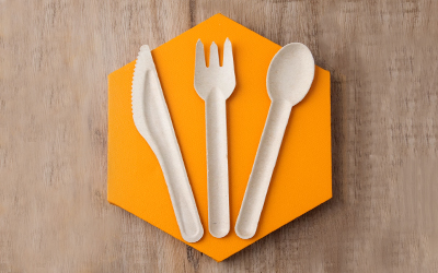Top Bagasse Cutlery Manufacturers 2025