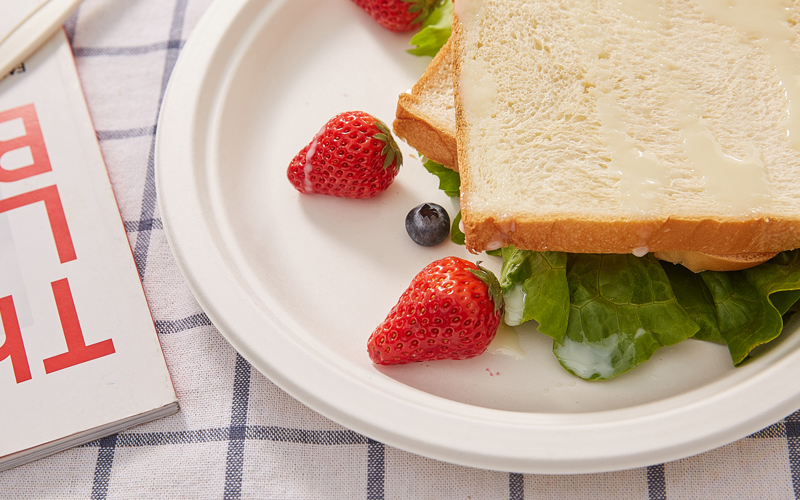 bagasse-plate-7---Warmpack