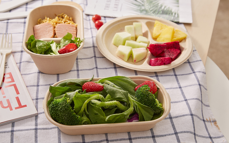 bagasse-product-3---warmpack