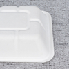 Bagasse Fresh Food Tray T1 – Warmpack