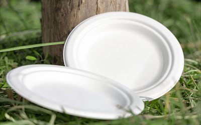 Are Bagasse Plates Good?