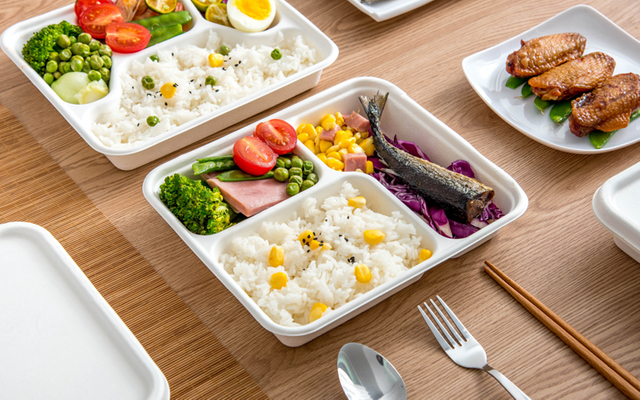 Bagasse Food Container Food Grade - Warmpack