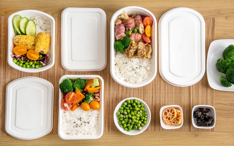 Bagasse Compartment Container Supplier In China - Warmpack.jpg