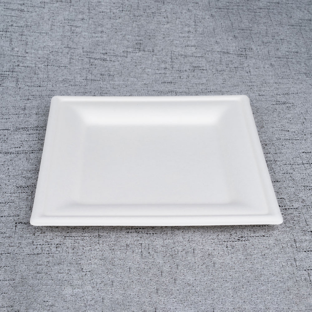 20cm Square Sugarcane Bagasse Plate - Warmpack