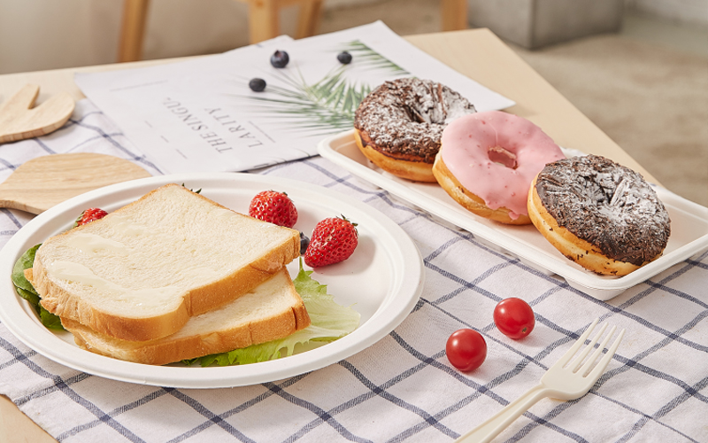 bagasse-plate---Warmpack