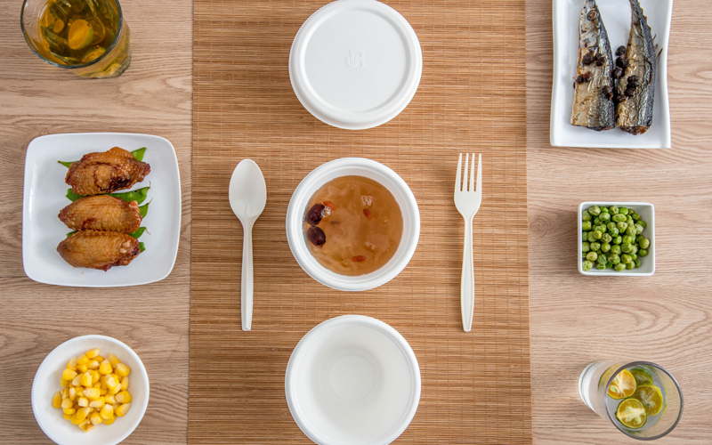 Bagasse Bowl 45 Degree Angle - Warmpack.jpg