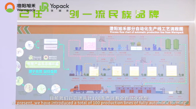 bagasse plate & tary supplier - Warmpack (3)