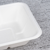 Bagasse Fresh Food Tray T1 – Warmpack