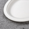 bagasse middle oval plate - Warmpack