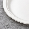 bagasse 10 inch round plate - Warmpack