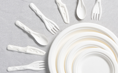 Top Bagasse Plates Manufacturers 2025