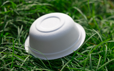 Compostable Bagasse Bowls