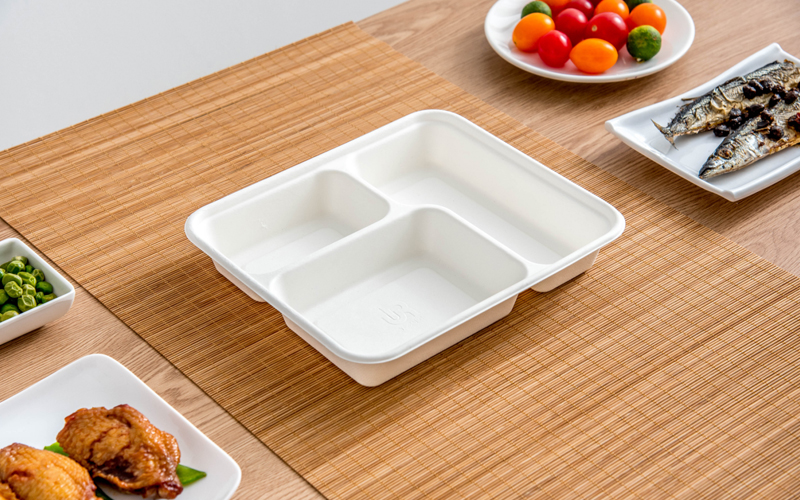 bagasse-product-41---warmpack