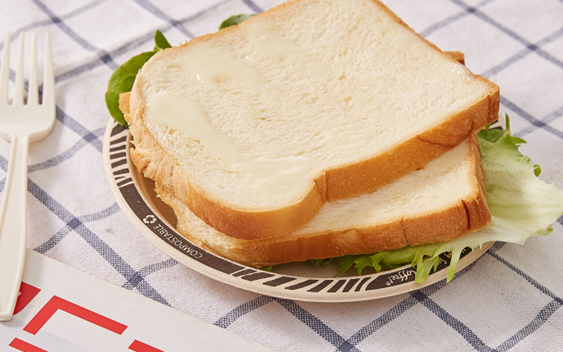 bagasse-plate-10---Warmpack