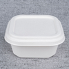 900ml Bagasse square bowl - Warmpack