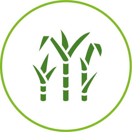 100% биоразградиво Багассе влакно