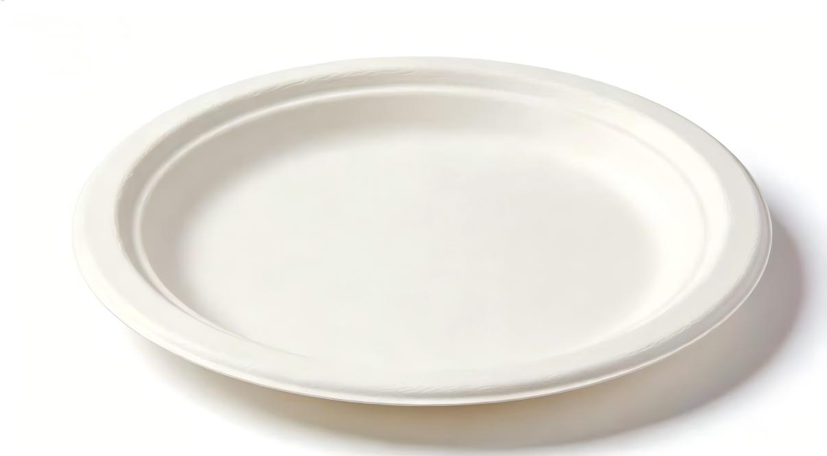 Bagasse plate.jpg