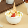 240ml Bagasse Ice Cream Cup