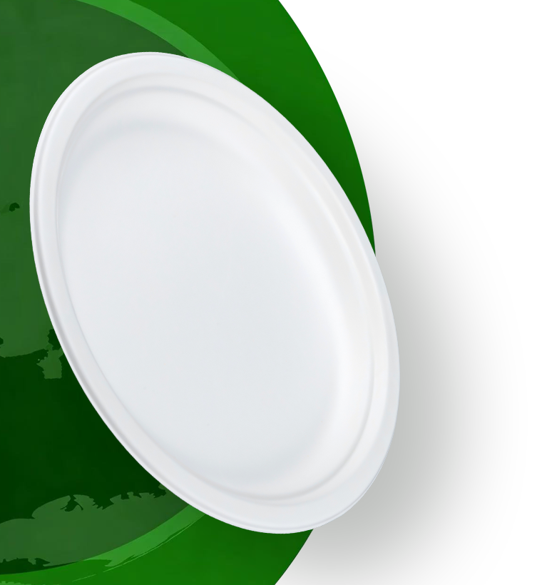 sugarcane bagasse bowl - Warmpack