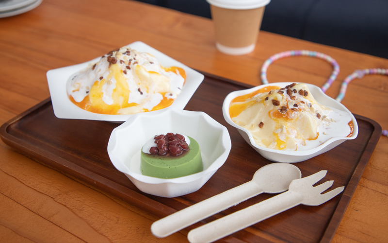 Bagasse Ice Cream Cups