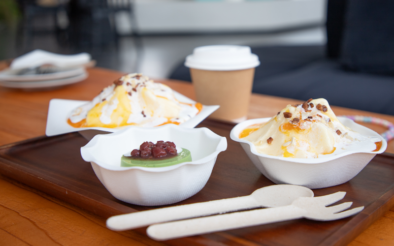 Can Bagasse Containers Handle Hot, Oily and Saucy Foods?